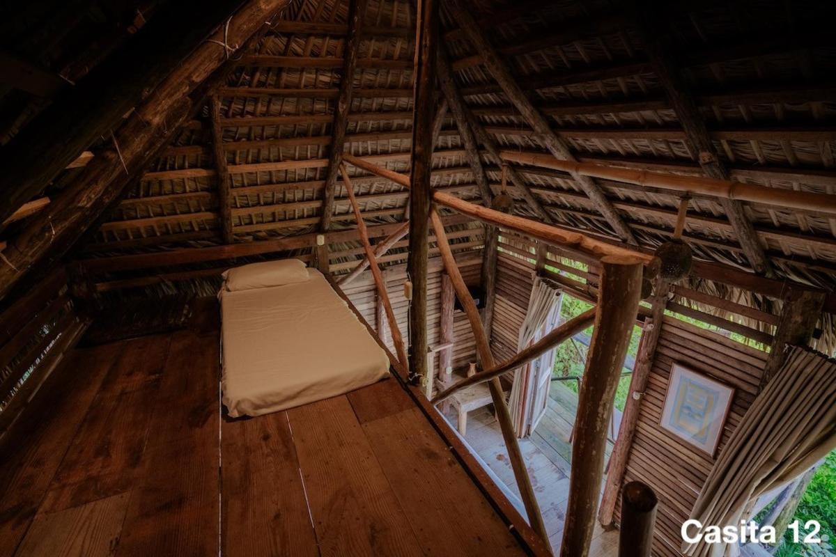 Ecolodge Tubagua Puerto Plata Exterior photo